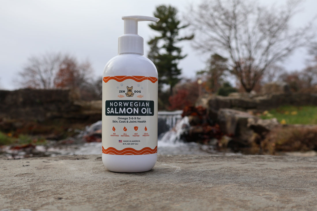 Norwegian Salmon Oil for Dogs: Daily Nutrition for Lifelong Wellness