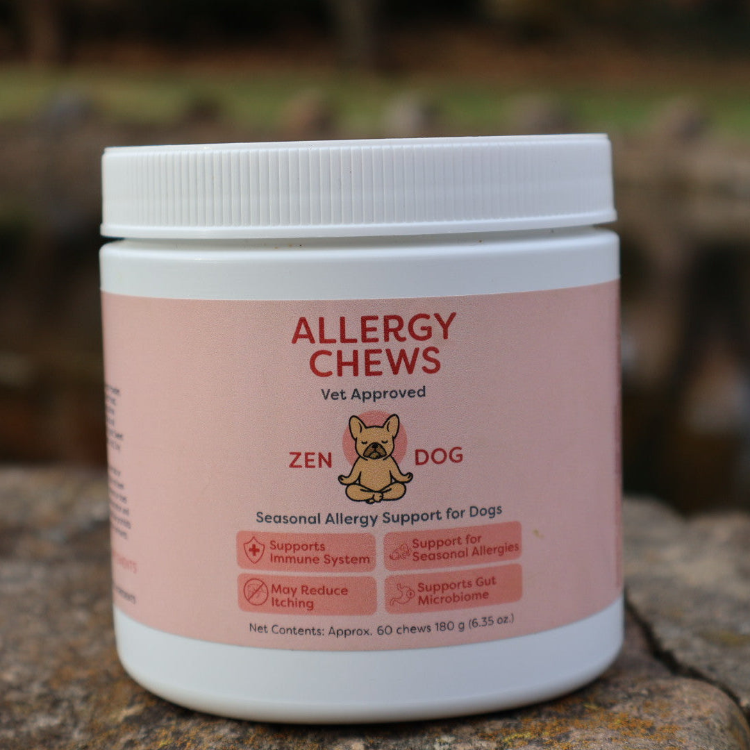 Jar of 'Allergy Chews' for dogs on a stone surface with a blurred natural background