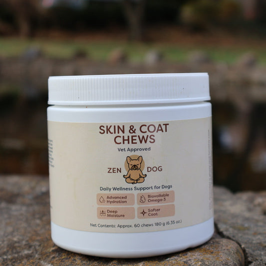 Jar of 'Skin & Coat Chews' for dogs on a stone surface with a blurred natural background