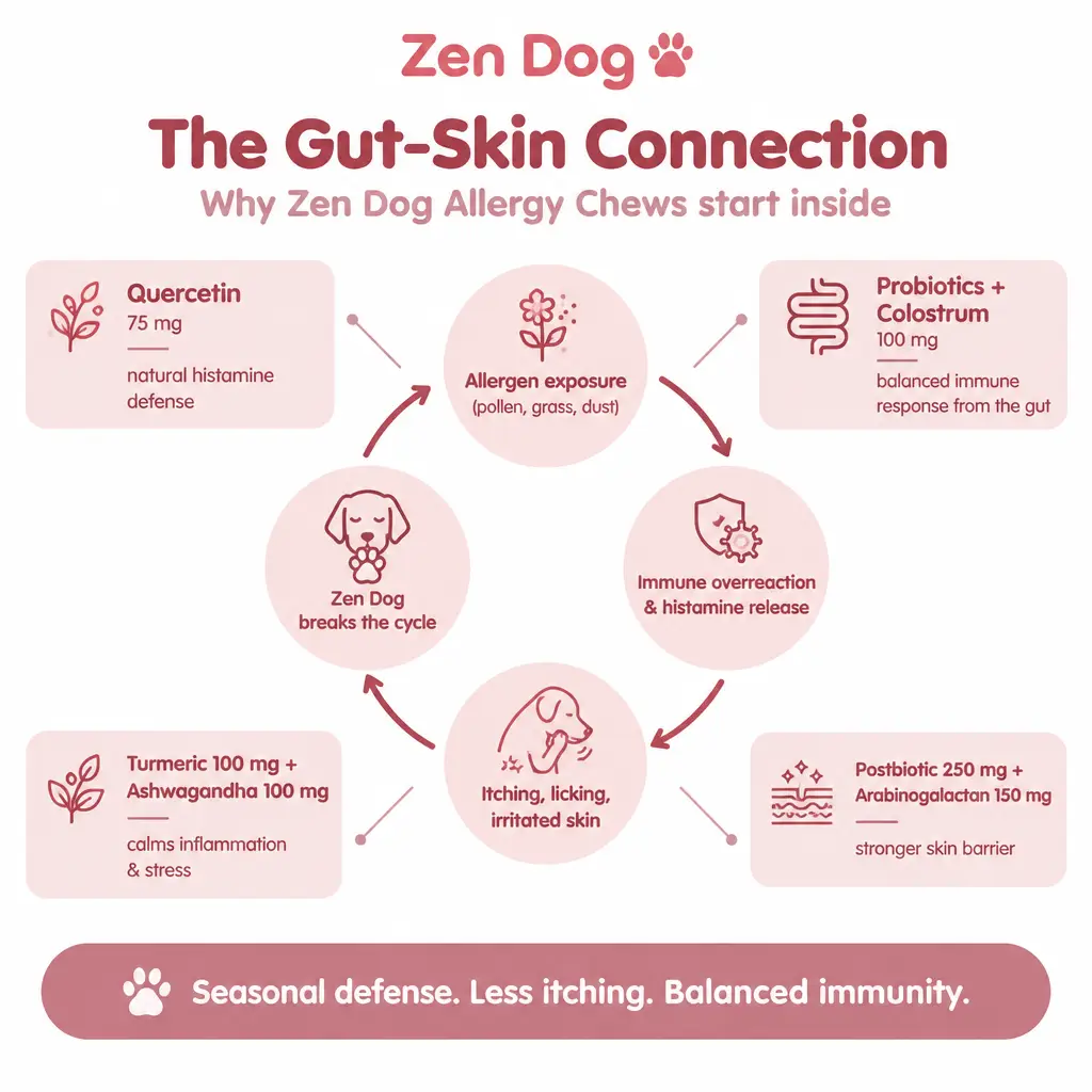 Zen Dog Allergy Chews - Zen Dog